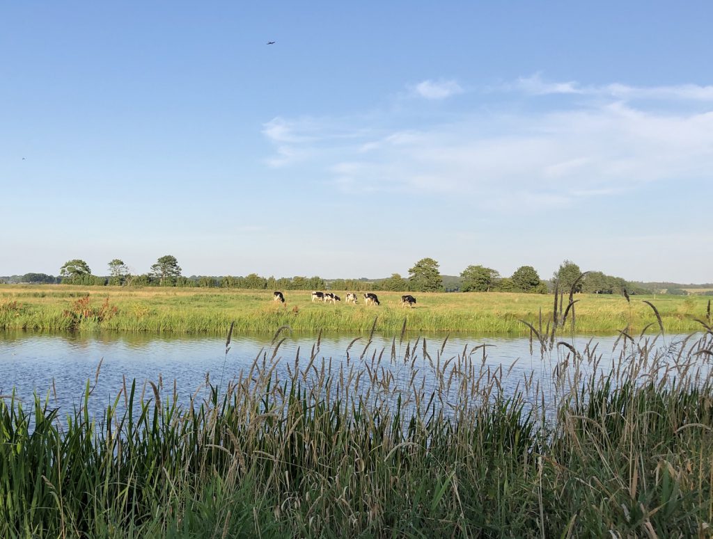 nordfriesland, treene, sommer